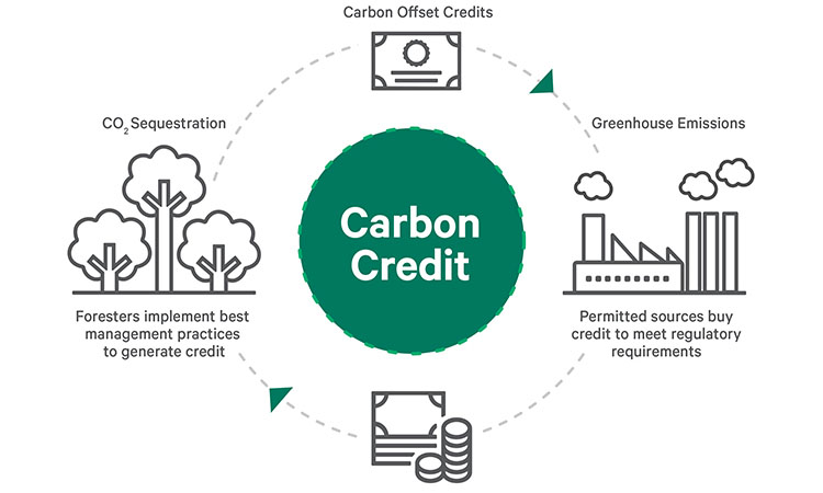 justcarbon-likvidi-launch-blockchain-markets-for-carbon-credits