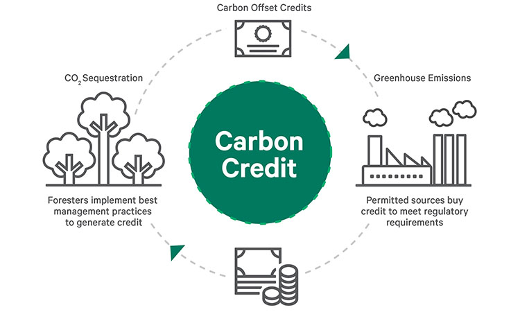 blockchain carbon credit